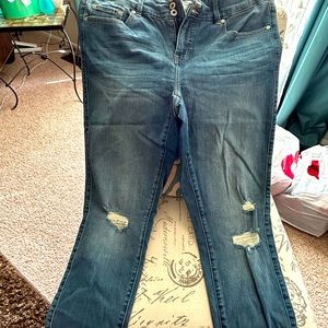 Torrid jeans